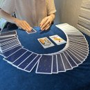 마포엄지척정형외과의원 | [250810~250817] 수영.먹방으로 끝난 이번주