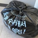 앱 + | 오늘수거 앱 후기 분리수거 걱정없는 쓰레기 수거 어플 비용