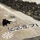 노고로기 | 제주도 여행 #4_서귀포_박수기정, 난드르바당, 카멜리아힐, 한라산아래첫마을, 고스란, 9.81파크