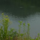 들꽃향기오두막 이미지