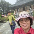 안반데기 그리고상원사 이미지