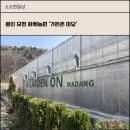 농원가든 | 용인 모현 화훼농원 '가든온 마당' 내돈내산 후기