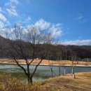 송백로-3 이미지