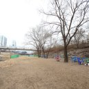 금곡동반려견놀이터 이미지