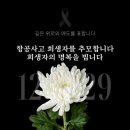 올해가 가기 전에 쓰는 오타쿠의 12월 일기