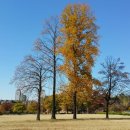 여지공인중개사사무소 이미지