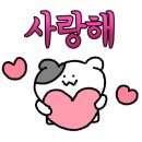 대구활공랜드 이미지