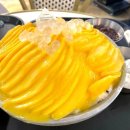빙수앓이 - 안산시 단원구 당곡로 9 | 아이랑 갈만한 곳 대전 맛집 성심당 DCC점 카페1956 망고빙수 팥빙수 후기 (주차정보)