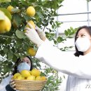 해나라1호 이미지