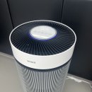 한국체대 태권도장 이미지