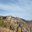 싸이코핏불스구서