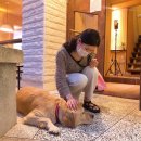 투니네일 | 네일국가고시 독학 원패스 후기 (실기) 부산 남구