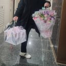 프로과일러