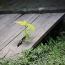 추억의뽑기방 이미지