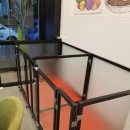 강아지 이발소 이미지