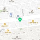 요미독 강아지분양 요미캣 고양이분양 목동점 네이버블로그