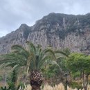 원앤온리 이미지