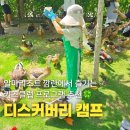 나트랑 리조트 알마리조트깜란 키즈프로그램 디스커버리캠프 후기