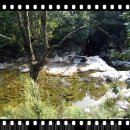 백봉령농장 이미지