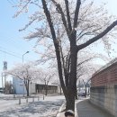 예나유치원 이미지