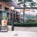 파인트리리조트