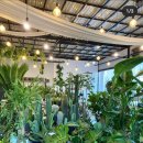 인동43길-7 이미지