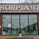 봄날애견 | 동두천 애견카페 소르피아97 다녀온 후기