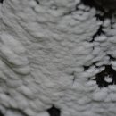 충북알프스자연휴양림 이미지