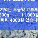 노루목농장 이미지