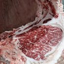 준순농장 이미지