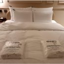 갓차워시 프로페셔널 용인처인점 | 용인 호캉스 호텔, 브라운도트를 찾으세요