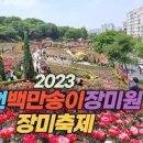 부천 백만송이장미원 장미축제 도당공원 이미지