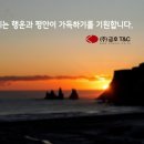 (주)금호티앤씨