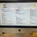오렌지 애견카페 | 청주 애견동반카페 [데니도니] 방문후기 / 오렌지아메리카노/ 오트라떼 (feat. 애견간식)