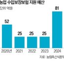 풍년양곡