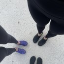 다포아라 이미지