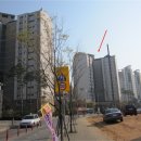 서구-01-21 이미지