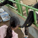 세연목장 이미지