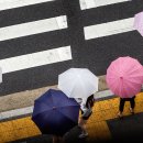 Rainy Day 이미지