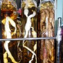 (주)산야초로 이미지