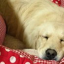 여수농장 이미지