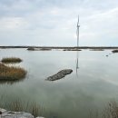 천일태양광발전소 이미지