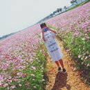 광의사거리 이미지