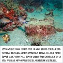 이어도수산