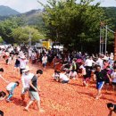 화천 가볼만한곳 / 화천 토마토축제 이미지