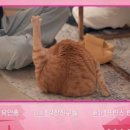 홀리몰리 이미지