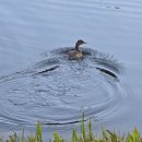 용소웰빙공원(입구) | 부산 기장용소웰빙공원 단풍 명소 후기 (산책로·주차·포토존)