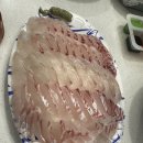 씽씽회센타 | 🐟 김포농협활어회센터 방문 후기 – 신선한 회 포장은 여기서!