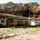 마대산장 캠핑장 Daum카페