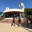 코요테 | 2025 캐리비안베이 코요테 워터파티 후기, 정문 주차장 팁부터 비치체어 선점 꿀팁까지